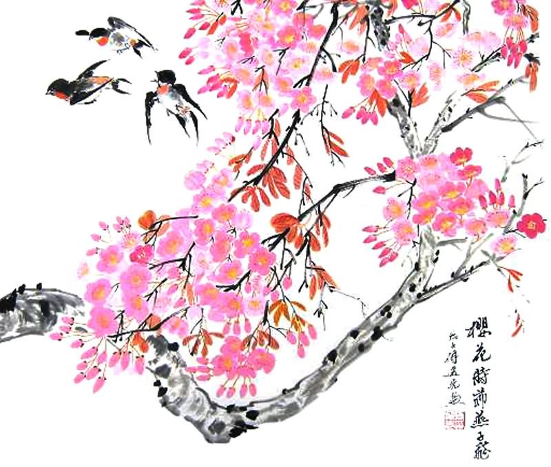 Free Cherry Blossom Art, Download Free Cherry Blossom Art png images