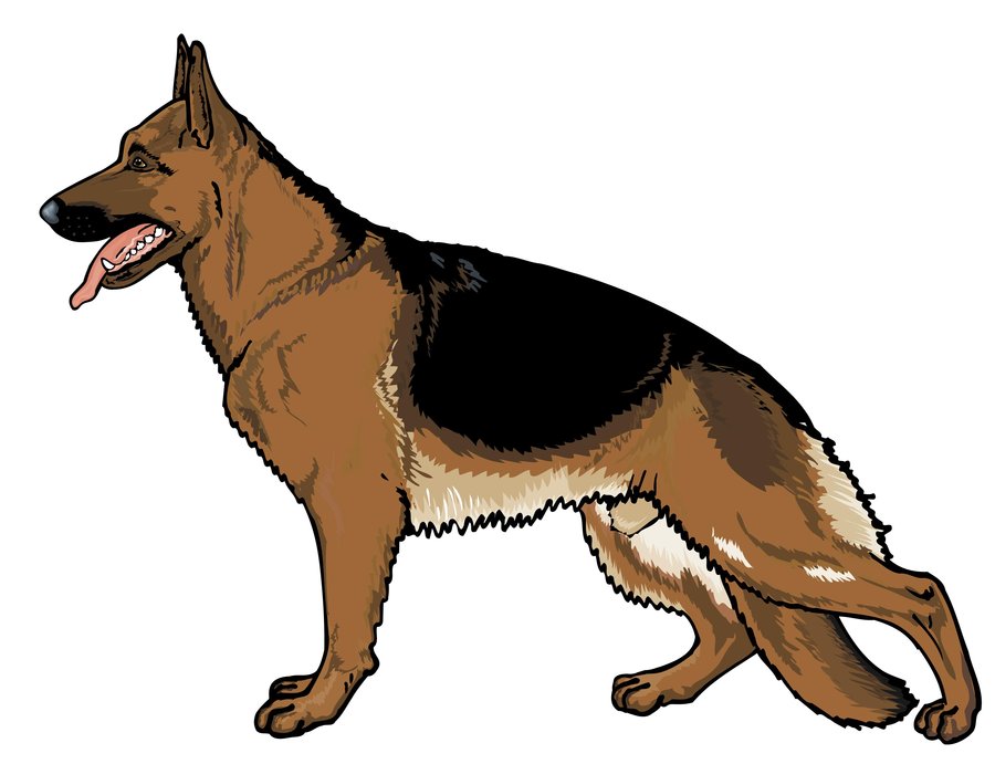 Shepherd Dog Clipart