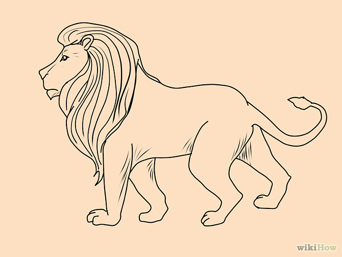 4 Ways to Draw a Lion - wikiHow