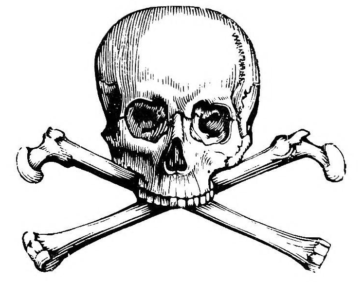 File:Skull and Crossbones.png - Wikimedia Commons