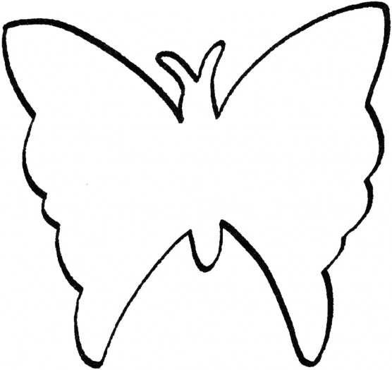 Butterfly Drawing Outline - Clipart library