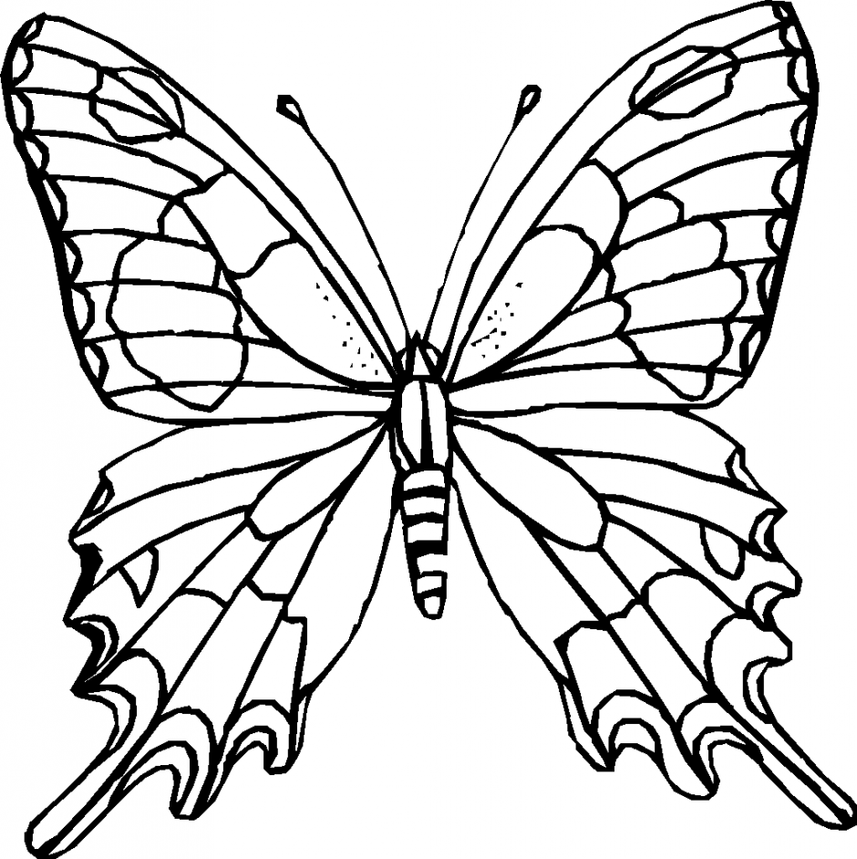 Free Butterflies Black And White Outline, Download Free Butterflies