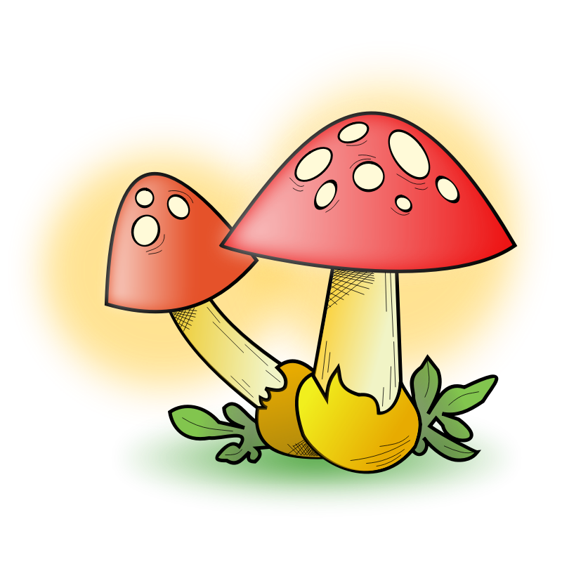toadstool mushroom clipart - photo #26