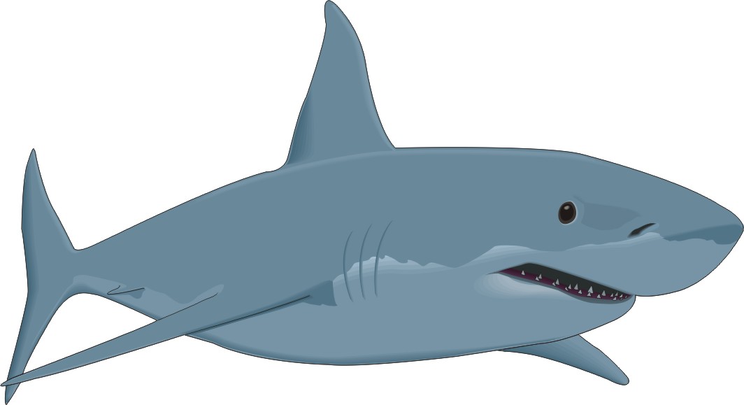 Pix For  Cartoon Shark Images For Kids