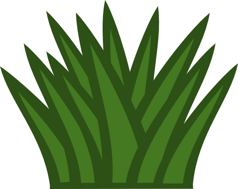 Clipart - Cactus