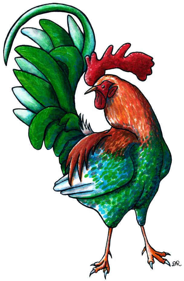 Free Drawings Of Roosters, Download Free Clip Art, Free Clip Art on
