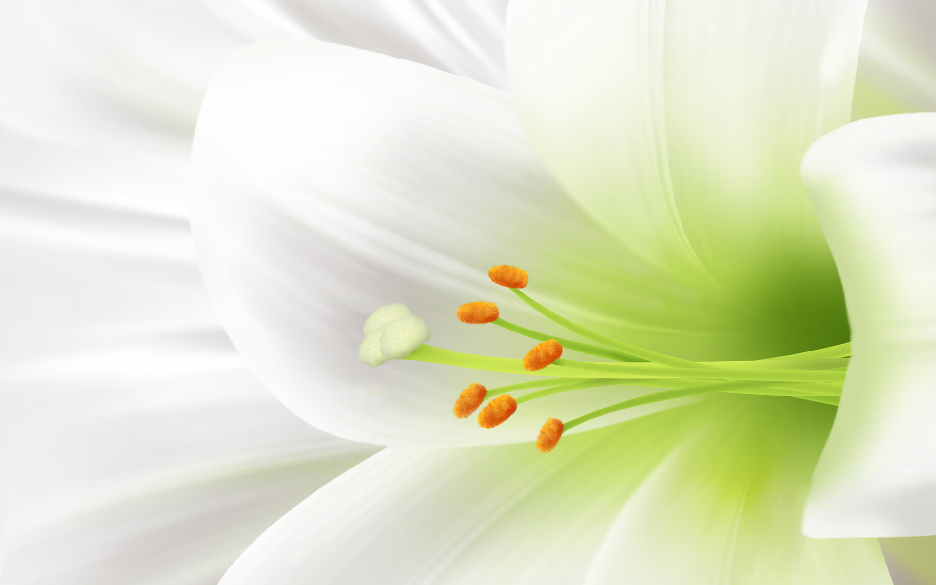 easter lily background - Clip Art Library