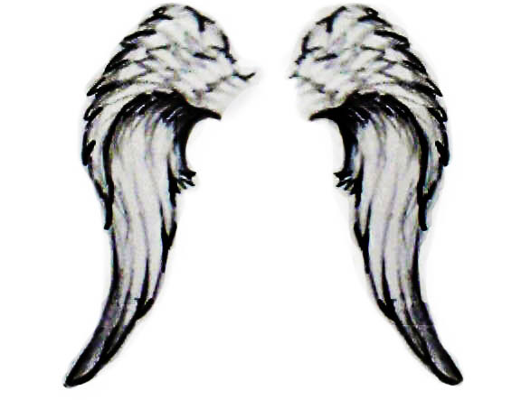 Angel Wings Pictures: Pictures of Angel Wings - Clipart library 