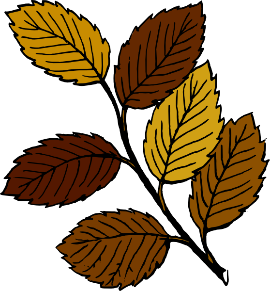 Plant clip art - vector clip art online, royalty free  public domain