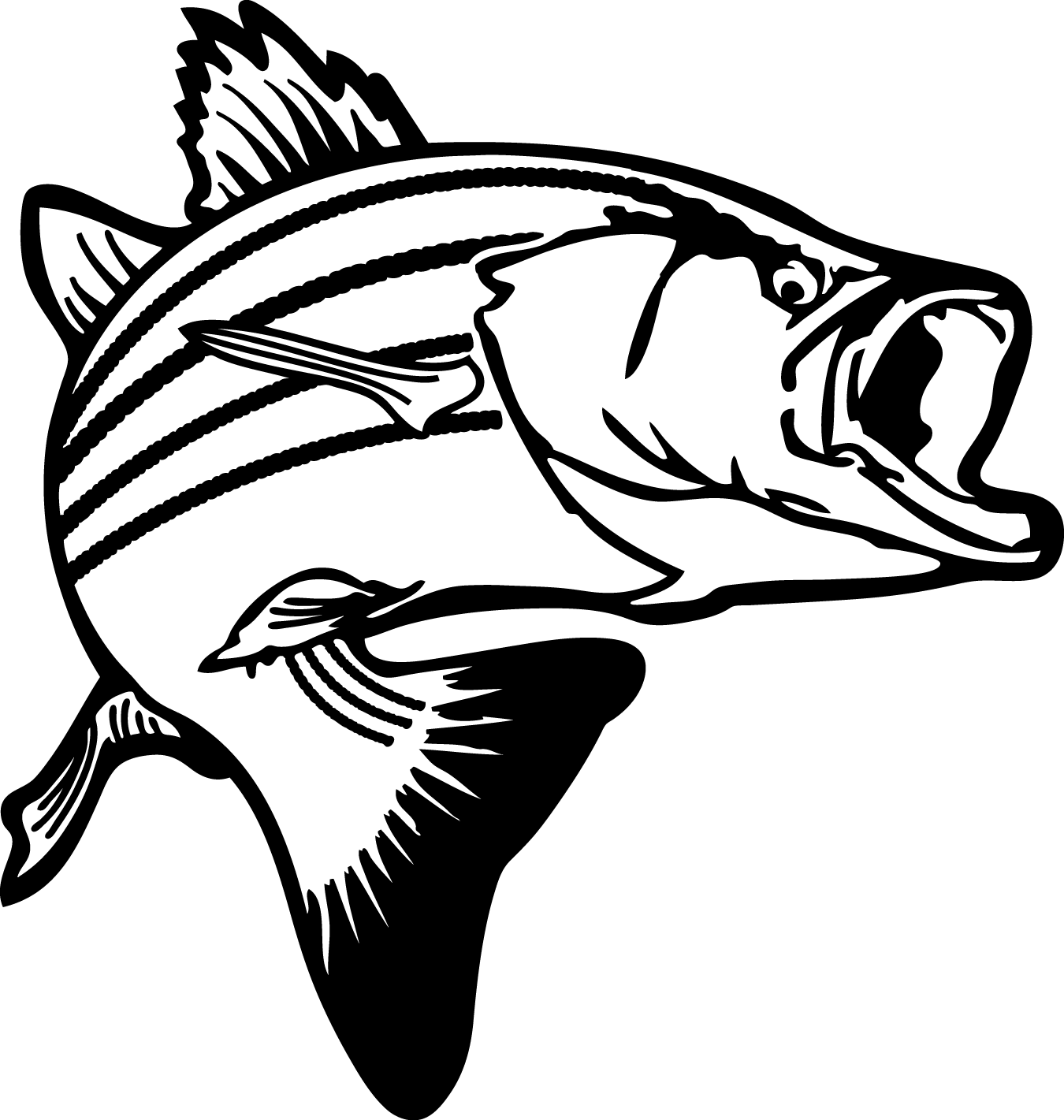 Images For  Trout Clip Art Black And White