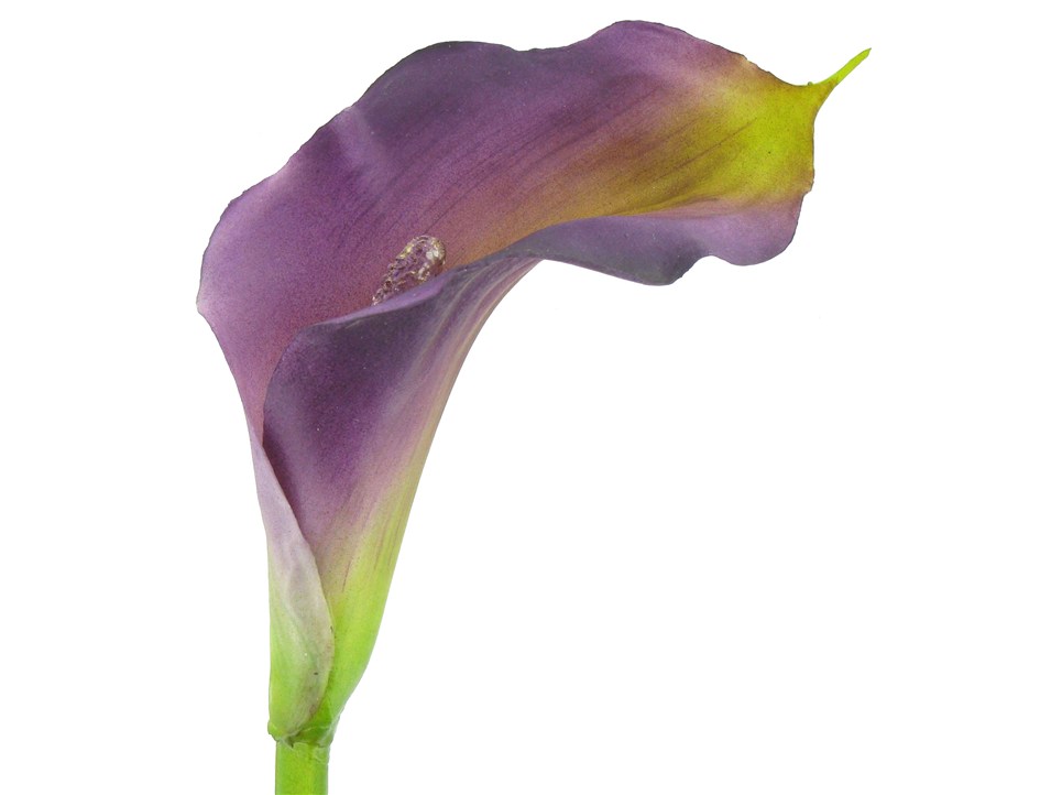 Mini Purple Calla Lily | Shop Hobby Lobby