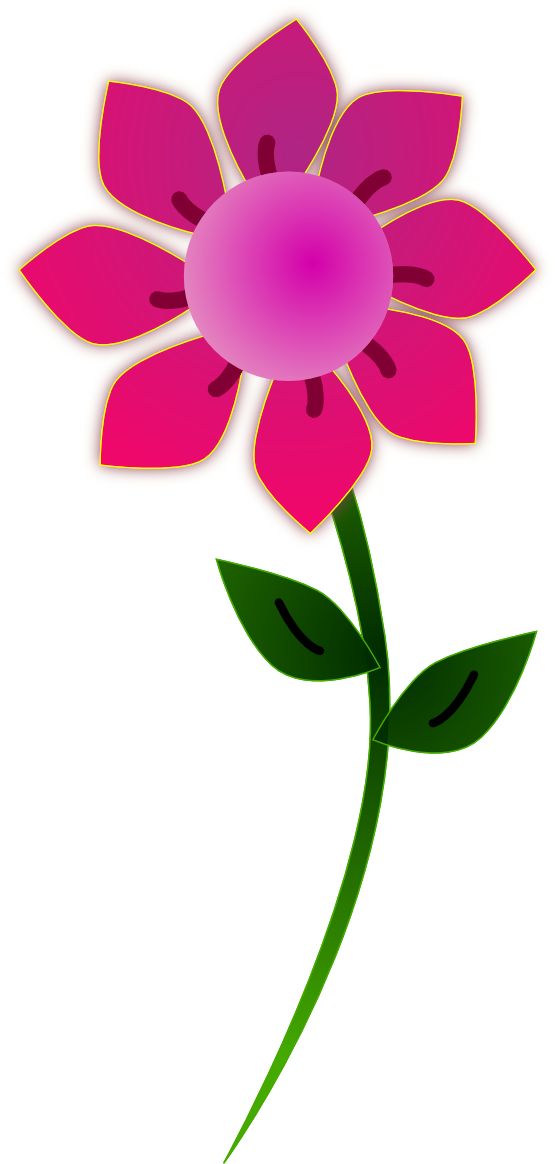 flowers png | Pink Sun Flower 555px | flower backgrounds | Pinter�