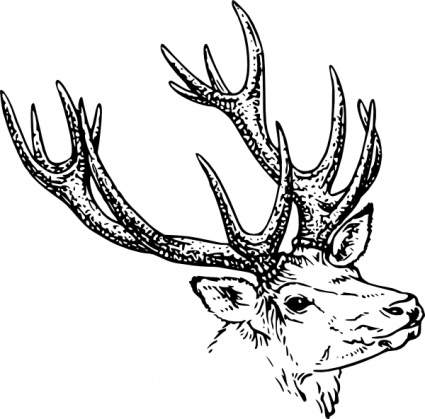 clip art deer head