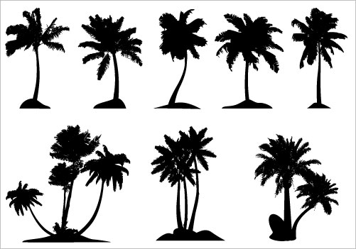 Palm Tree Vector Png - Clipart library