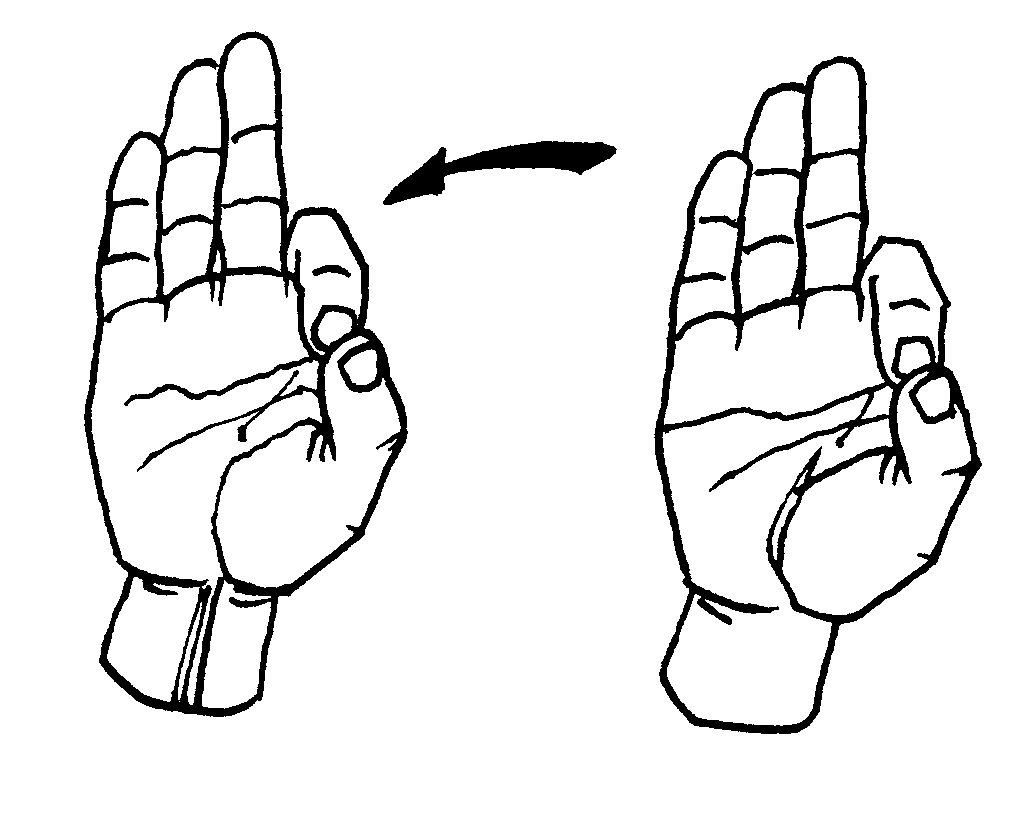 french fries American Sign Language (ASL)