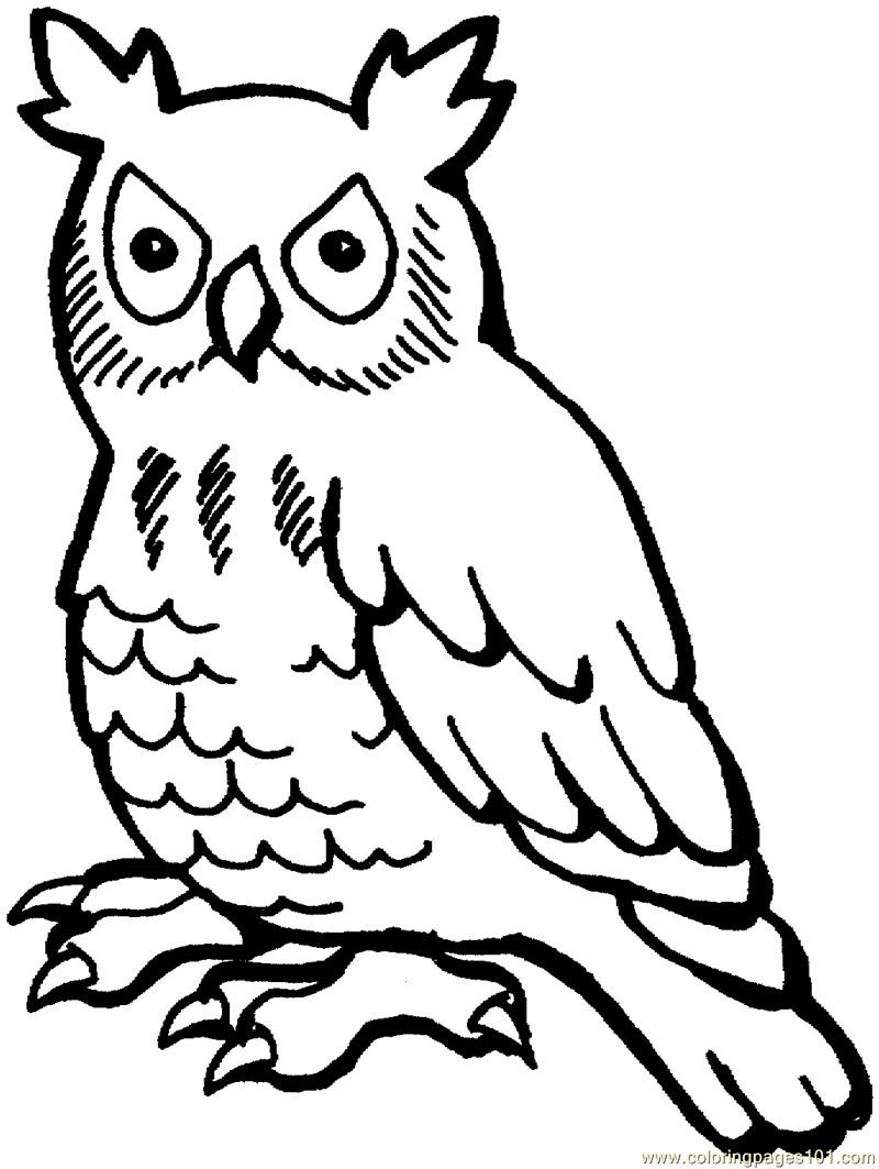 Owl Coloring Pages Kids Printable Mewarnai Clip Art Library Free