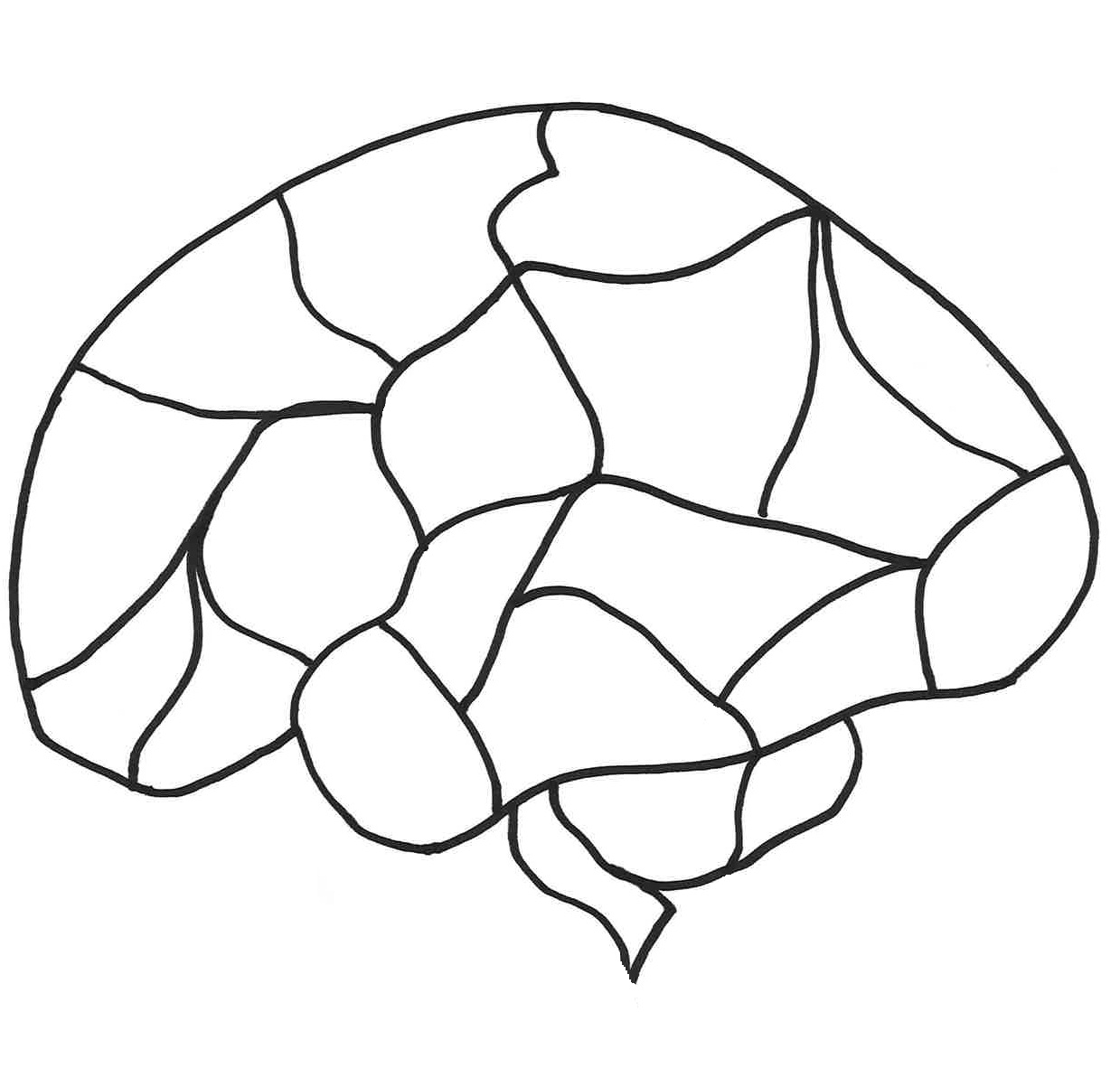 Free Unlabeled Brain Diagram Download Free Unlabeled Brain Diagram png