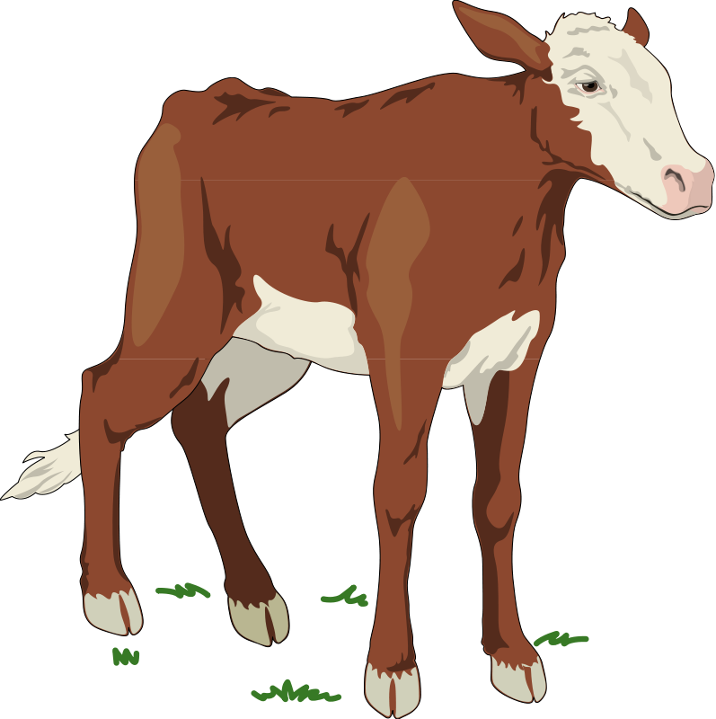 Cow 2 Free Vector 