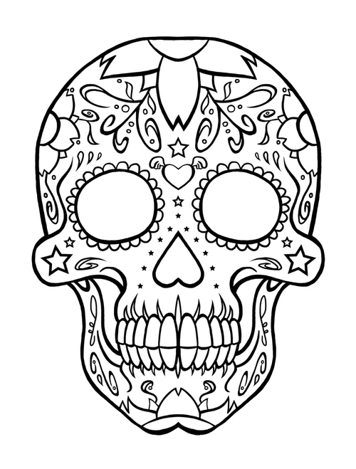 Pictures Skull Drawings - Clipart library