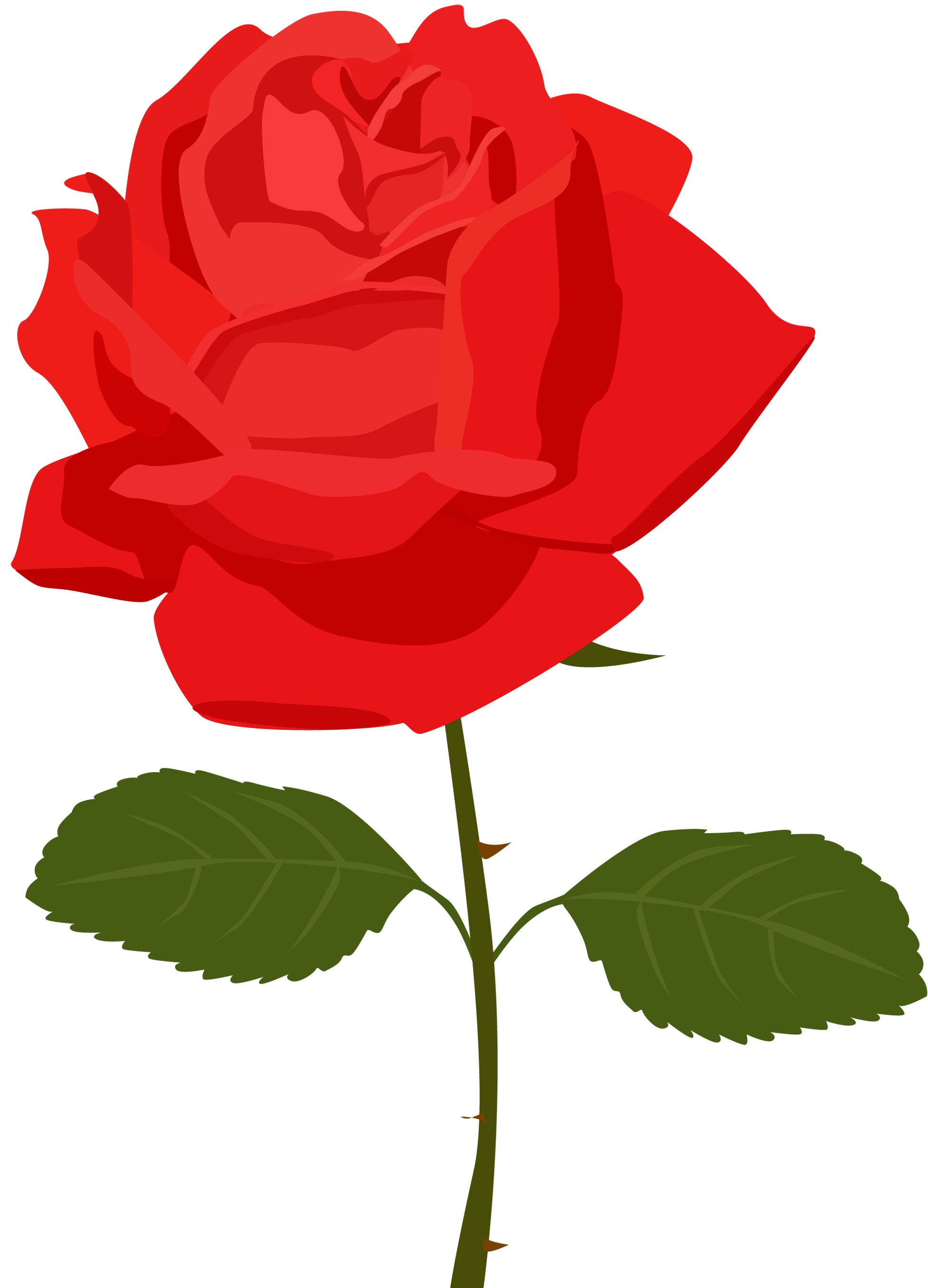 Free Rose Clipart Transparent Background, Download Free Rose Clipart