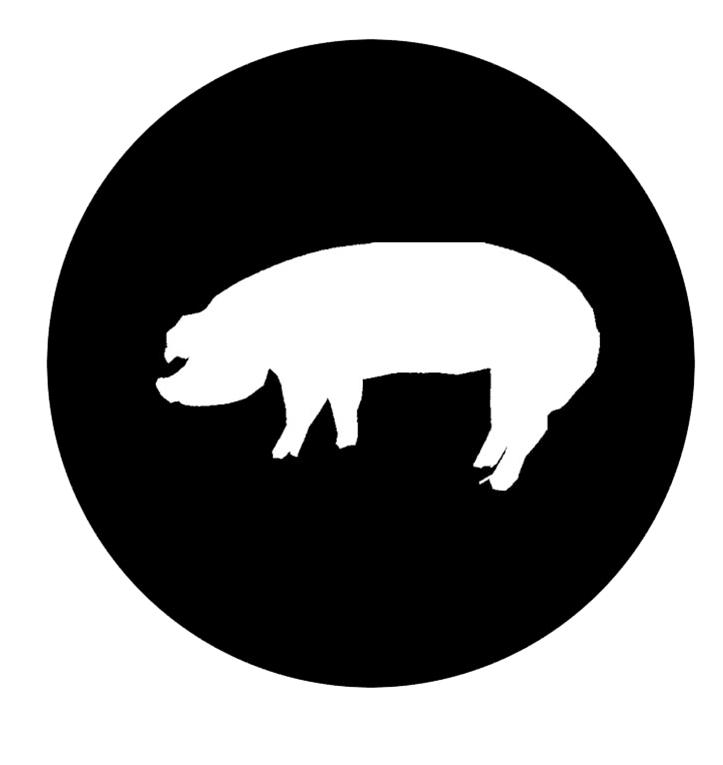 South Shore Meats - Bayfield Regional Food Producers Cooperative
