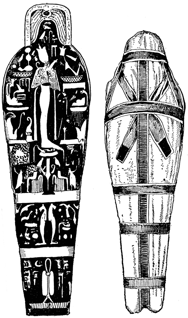 Mummy and Cover of Coffin | ClipArt ETC