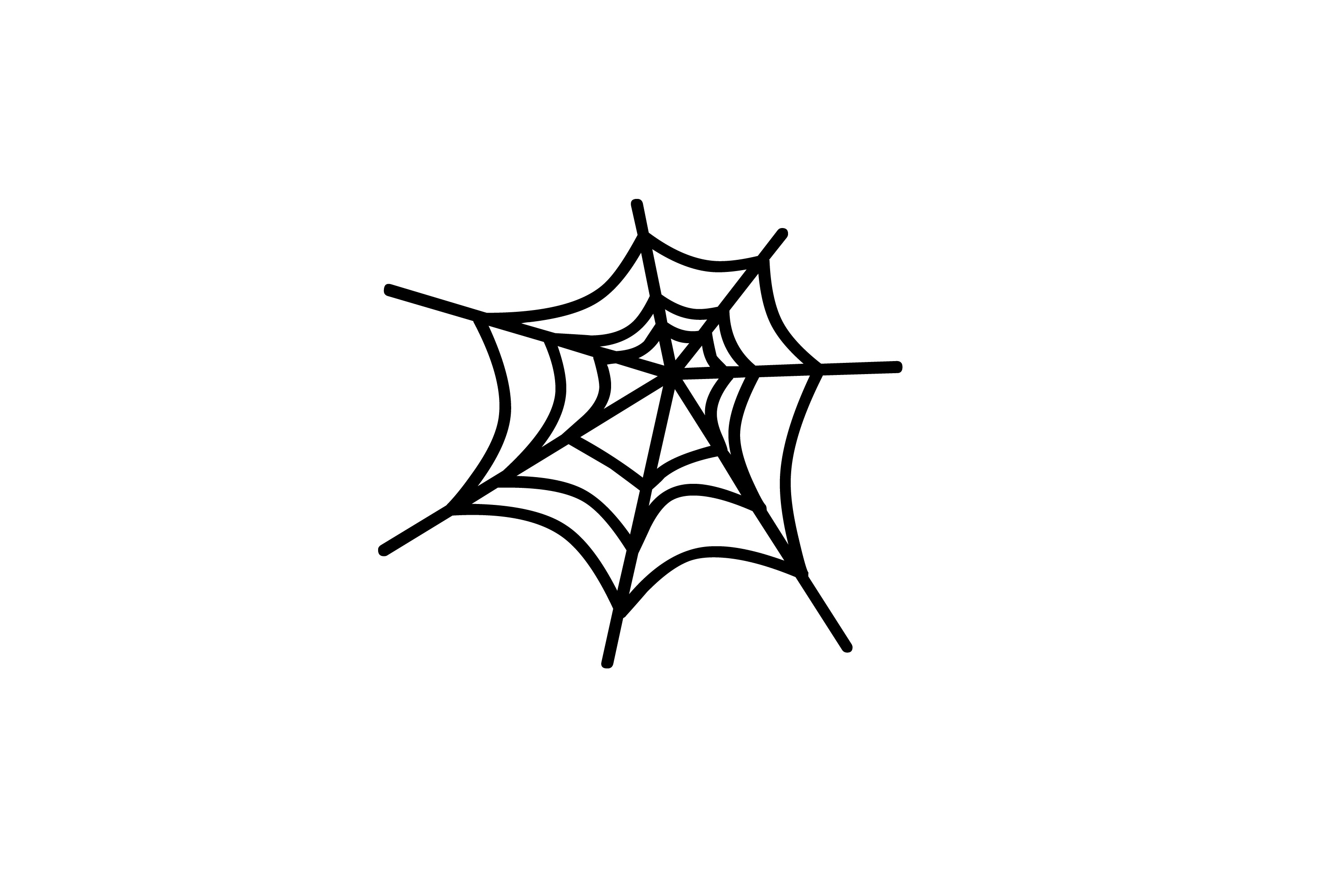 Clipart Spider Web - Clipart library