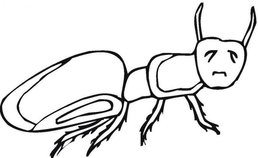 Beautiful Coloring Pages of Ant Insect | Animal Vista