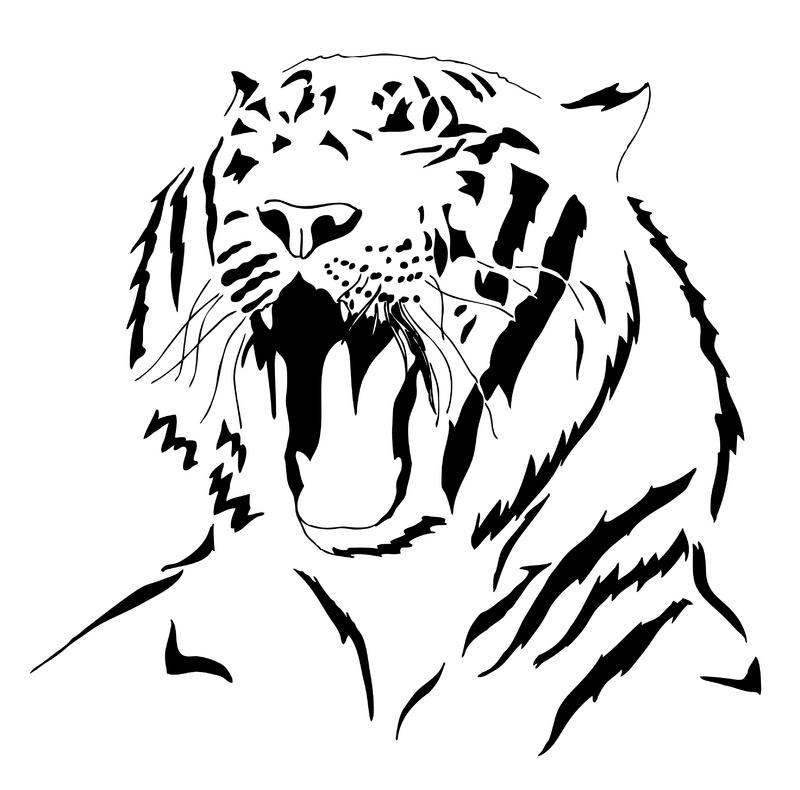 White Tiger Roar Drawing Images  Pictures - Becuo