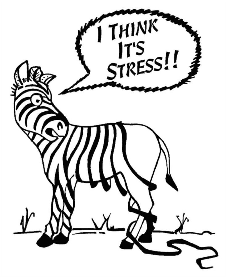 Pin by Amy Lynn Wilkinson on ?STRESS  WORRY FREE? | Clipart library