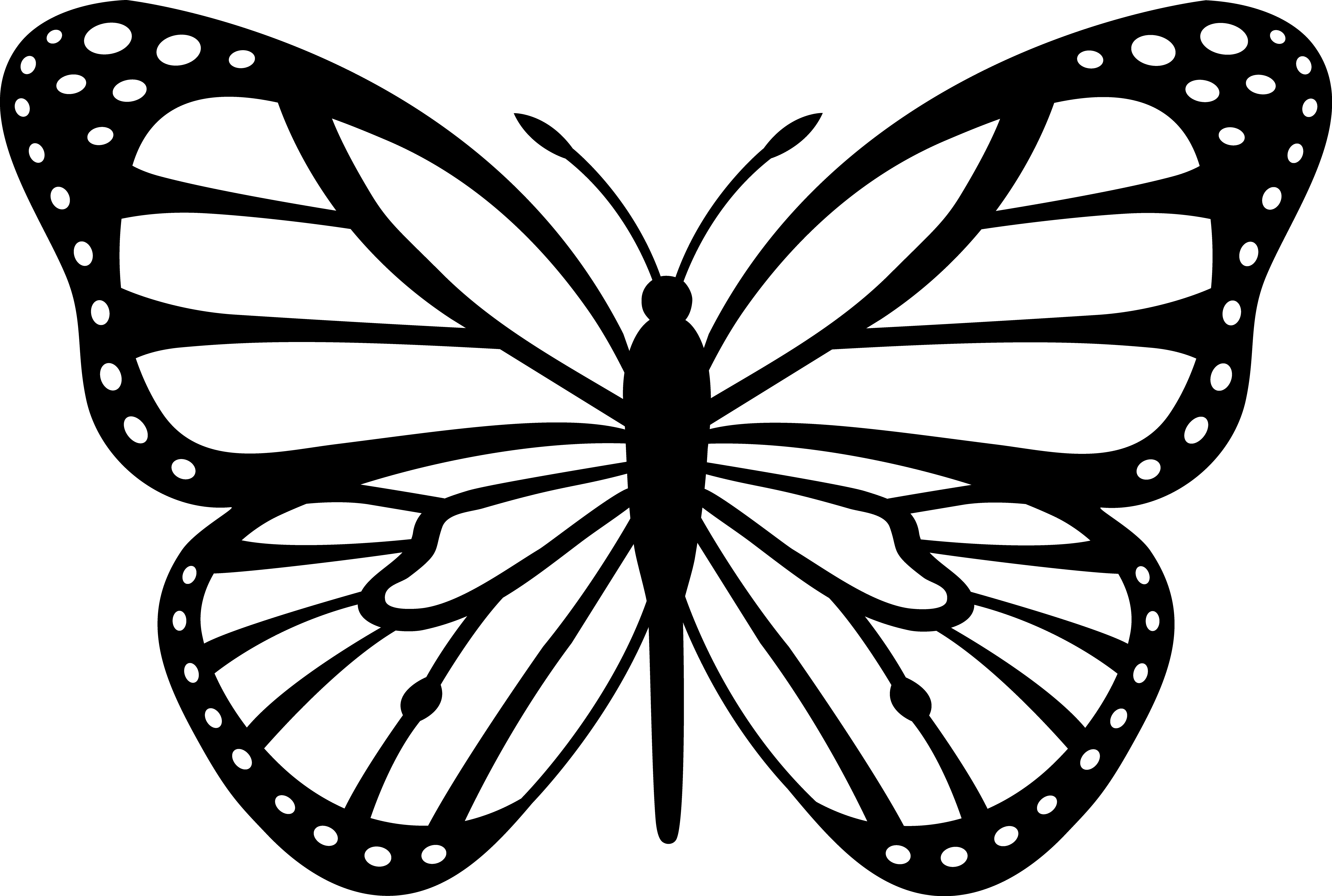 Black And White Butterfly Drawing Clip Art Library