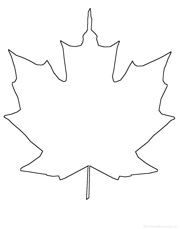 clipart maple leaf outline - photo #40
