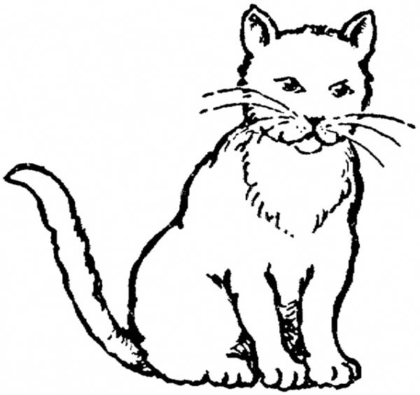 A Realistic Drawing of Kitty Cat Coloring Page | Kids Play Color