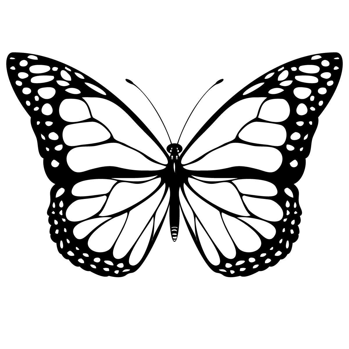 Drawing Outline Drawing Illustration Monarch Butterfly