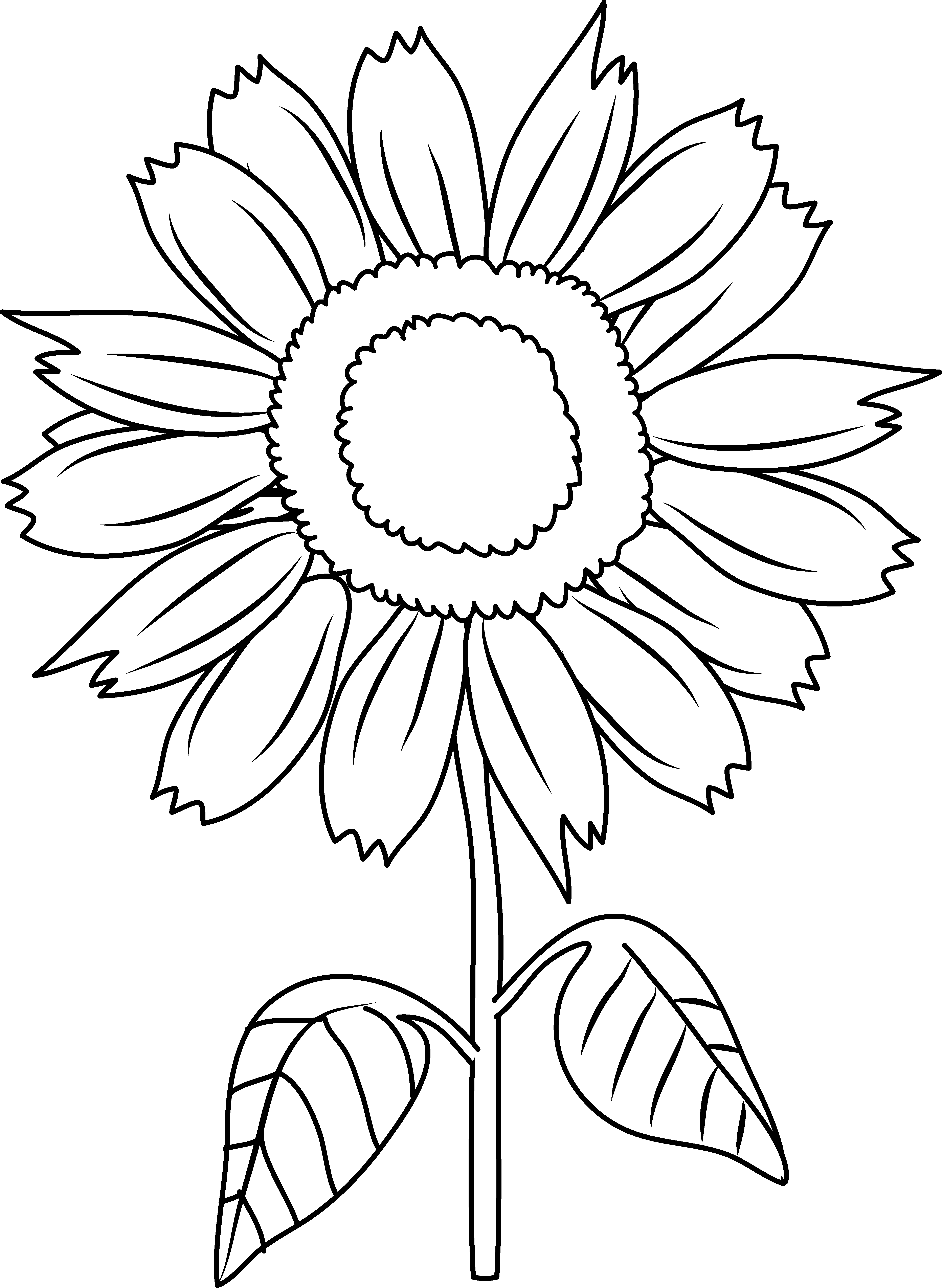 Free Sunflower Line Art Download Free Clip Art Free Clip