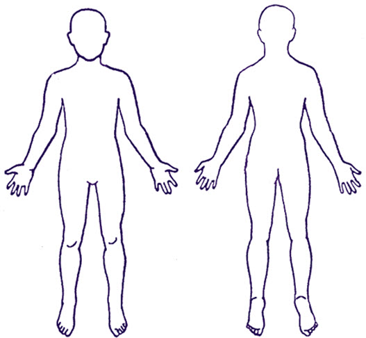 Free Outline Of A Body Download Free Outline Of A Body png images