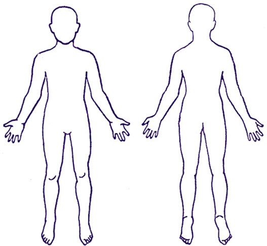 Free Outline Of A Body, Download Free Outline Of A Body png images