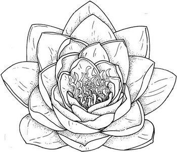 Free Easy Drawings Of Flowers, Download Free Easy Drawings Of Flowers