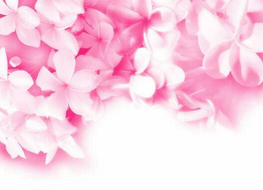 1920x1080 Pink Abstract Flowers Wallpaper  Love Good Morning Sunday   1920x1080 Wallpaper  teahubio