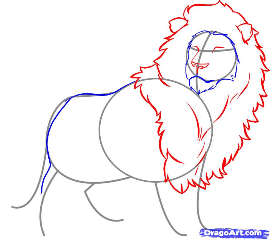 How to Draw a Lion, Step by Step, safari animals, Animals, FREE 