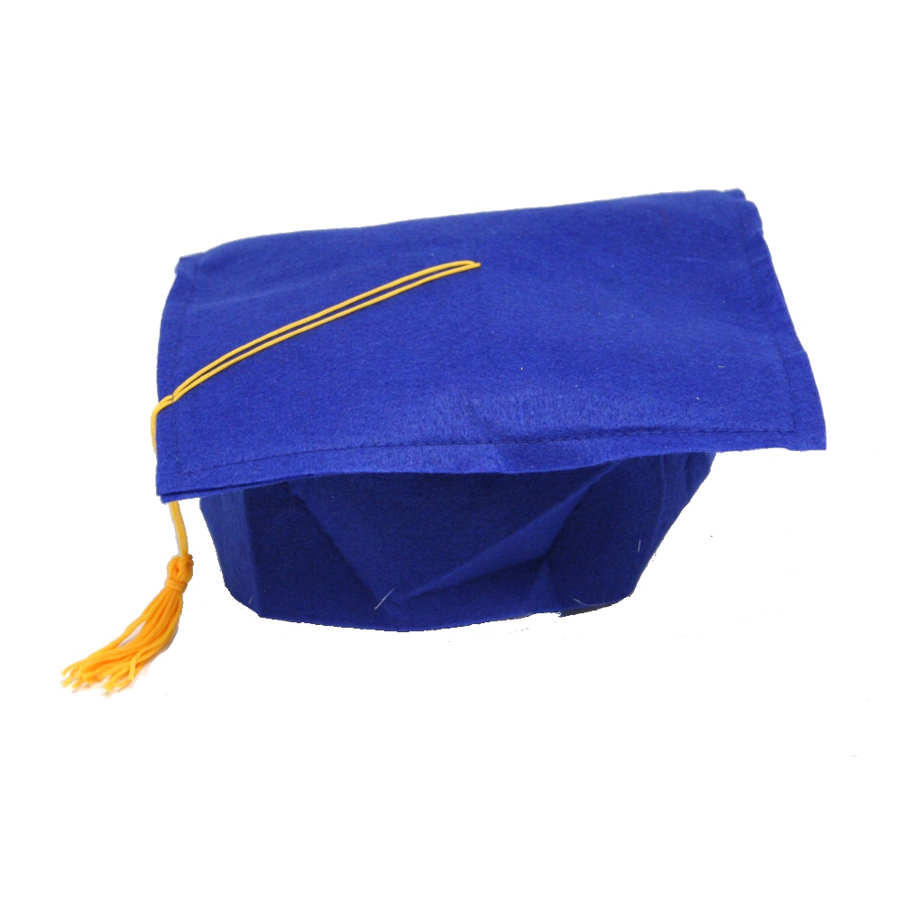 blue felt graduation caps