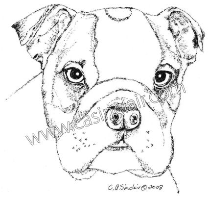 English Bulldog Puppy | Dog Portraits, Dog Paintings, Dog Drawings 