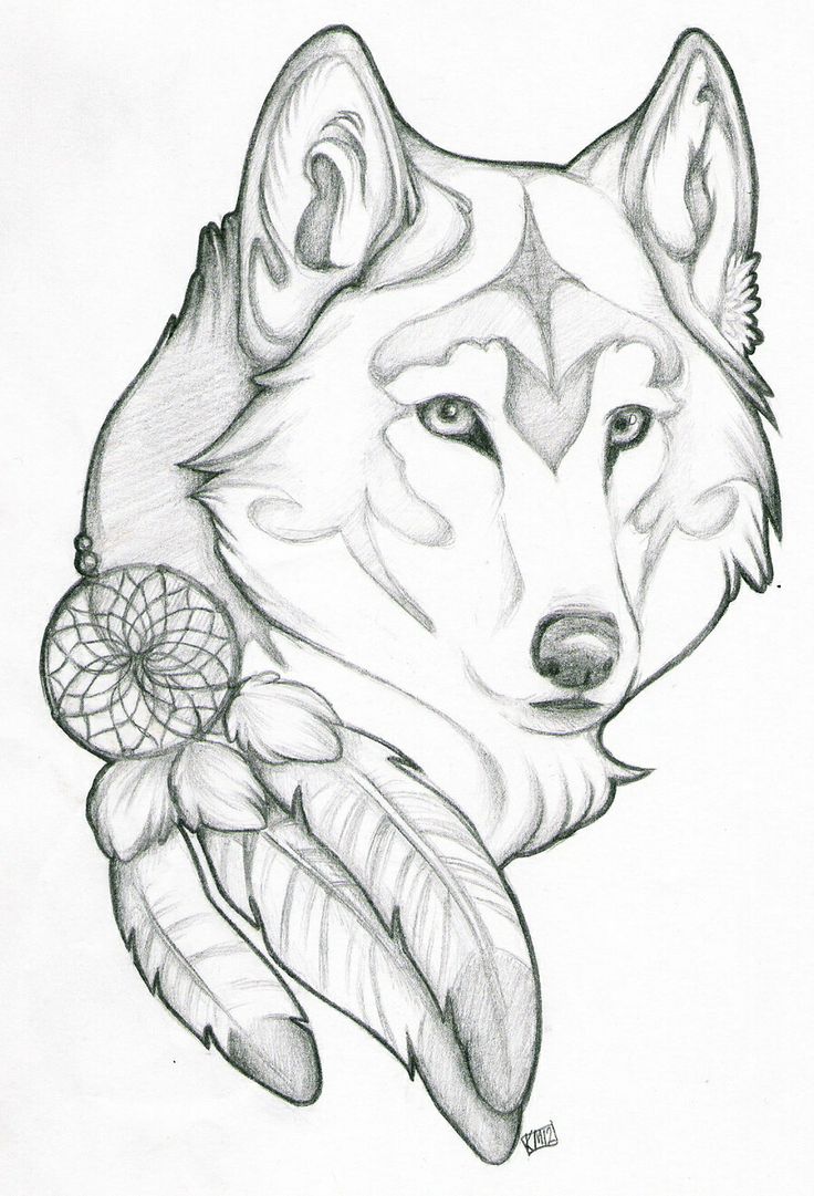 Draws on Clipart library | Wolves, Wolf Drawings and Owl Drawings