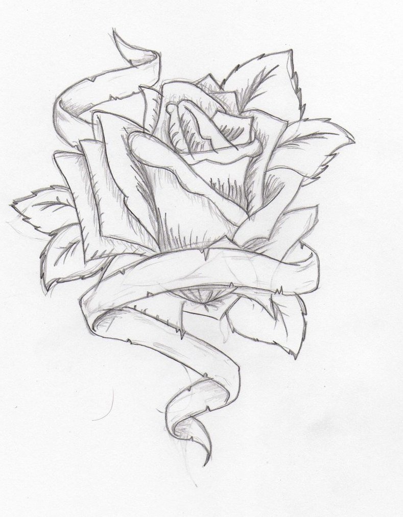 drawings of roses and ribbons