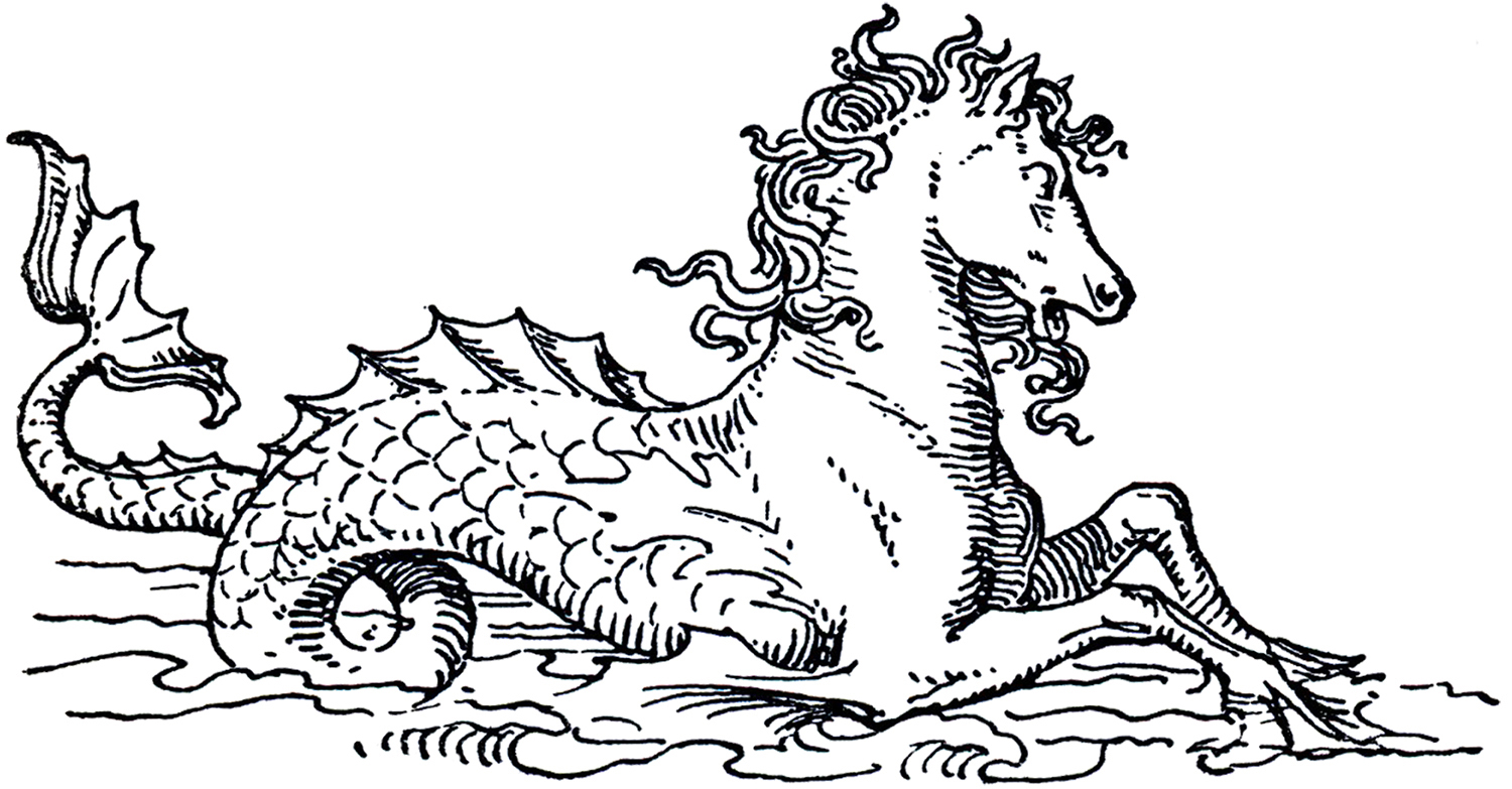 Mythical Sea Horse Image - The Graphics Fairy