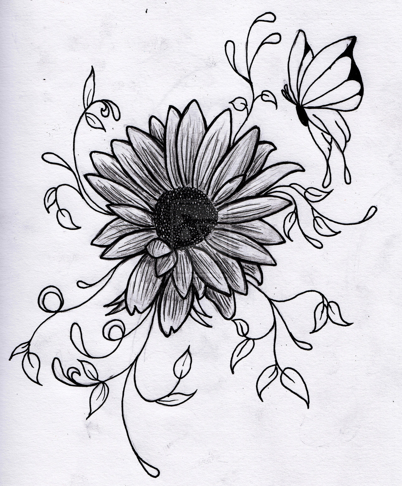 New Sketch Drawings Cute Flower with simple drawing
