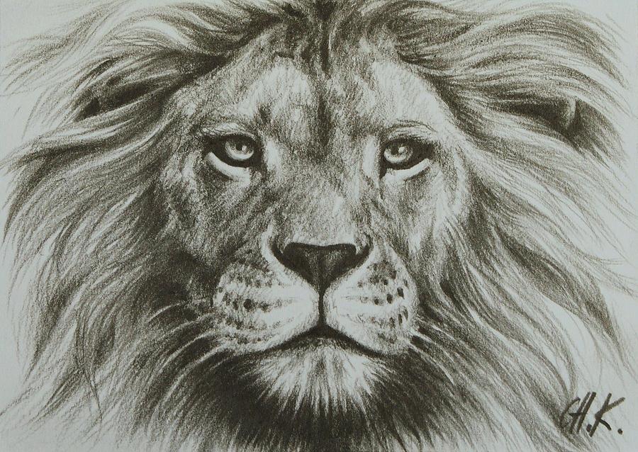 simple lion head drawing
