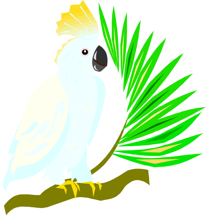 free clip art cartoon parrot - photo #36
