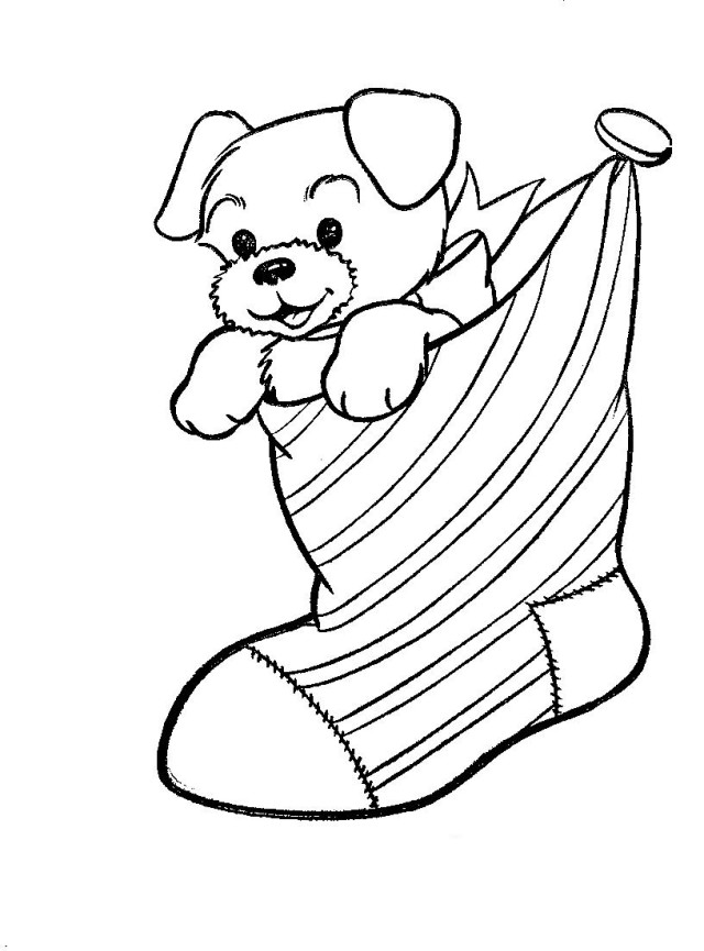 Inspirational Puppy Dog In Christmas Stocking Coloring Page 