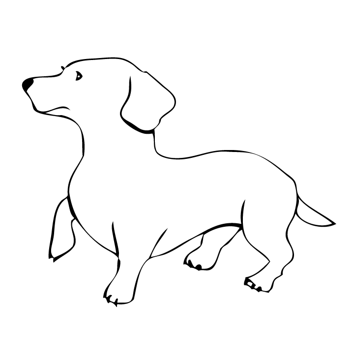 Dog Outline Images Images  Pictures - Becuo